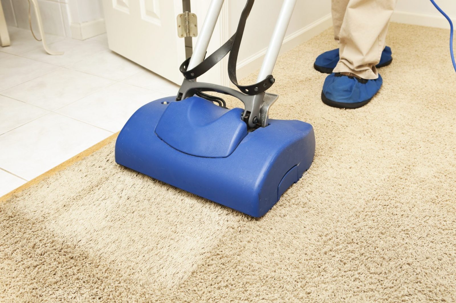 How To Prevent Moldy Carpets Flood Doctor