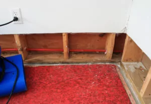 How To Restore A Living Room That Has Suffered Flood Damage Carpet Water Damage