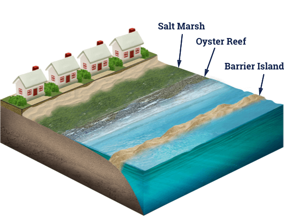 Natural Infrastructure