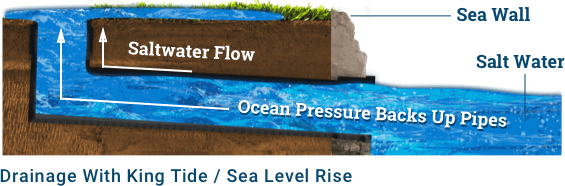 Pipe Back Up Flooding After Pipe Back Up