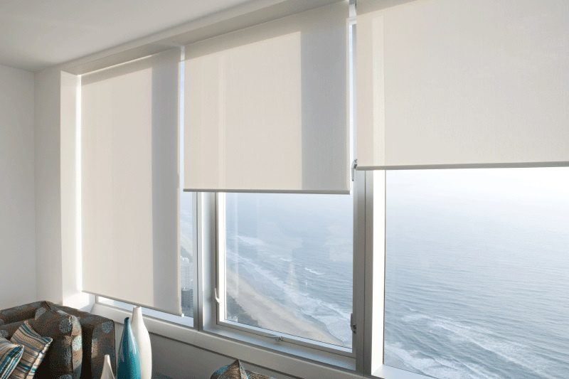 Volpe Blinds