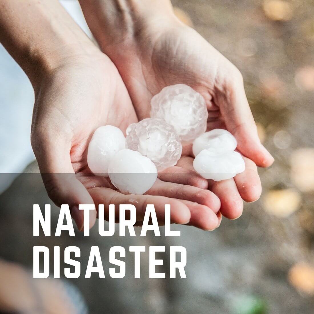 Natural Disaster Restoration Services
